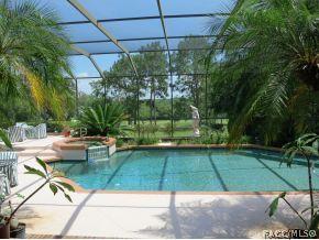 3675 N Pine Valley Loop, Lecanto, FL 34461 photo 4