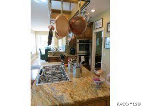 3675 N Pine Valley Loop, Lecanto, FL 34461 photo 11