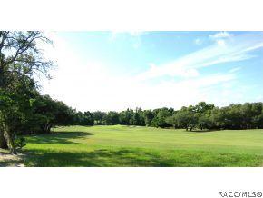 3675 N Pine Valley Loop, Lecanto, FL 34461 photo 16