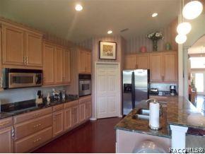 1071 W Skyview Landings Dr, Hernando, FL 34442 photo 3