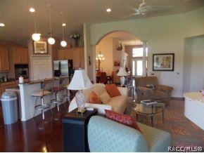 1071 W Skyview Landings Dr, Hernando, FL 34442 photo 5