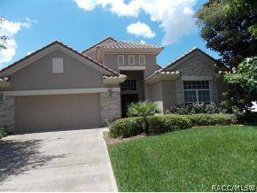 1071 W Skyview Landings Dr, Hernando, FL 34442 photo 1