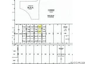 2160 N Picnic Pt, Hernando, FL 34442 photo 2