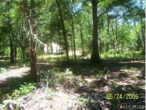 2160 N Picnic Pt, Hernando, FL 34442 photo 1