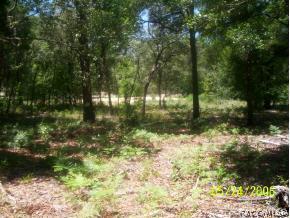 2108 N Picnic Pt, Hernando, FL 34442 photo 1