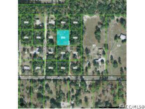 2108 N Picnic Pt, Hernando, FL 34442 photo 3