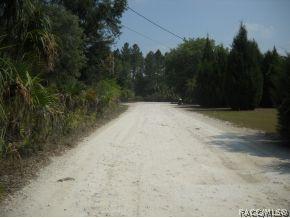 11454 N Moonlight, Inglis, FL 34449 photo 6