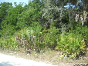 11454 N Moonlight, Inglis, FL 34449 photo 2