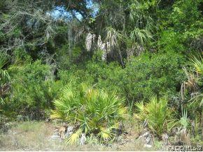11454 N Moonlight, Inglis, FL 34449 photo 1