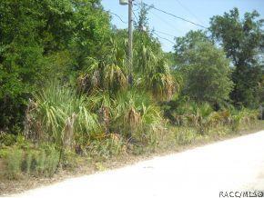 11454 N Moonlight, Inglis, FL 34449 photo 3