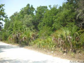 11454 N Moonlight, Inglis, FL 34449 photo 4
