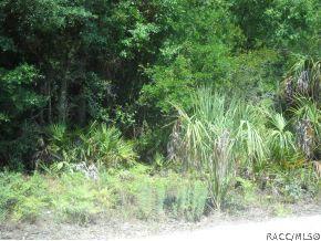 11454 N Moonlight, Inglis, FL 34449 photo 7