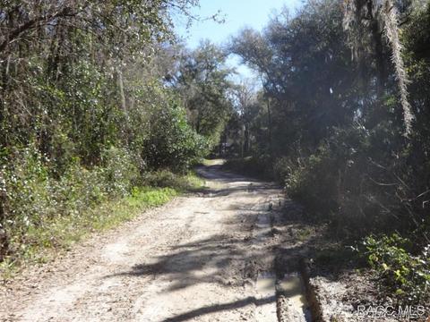 9394 E Ruth Ct, Inverness, FL 34453 photo 5