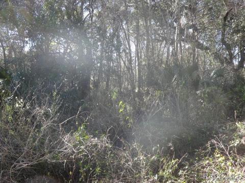 9394 E Ruth Ct, Inverness, FL 34453 photo 3
