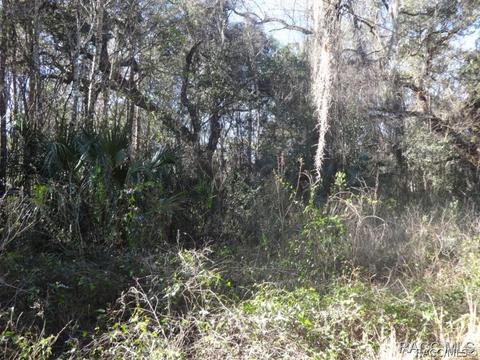 9394 E Ruth Ct, Inverness, FL 34453 photo 1