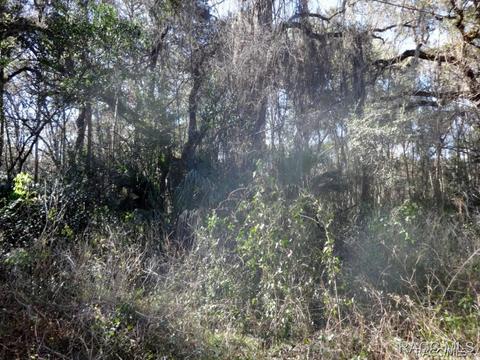 9394 E Ruth Ct, Inverness, FL 34453 photo 2