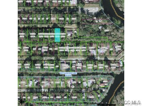 9394 E Ruth Ct, Inverness, FL 34453 photo 4
