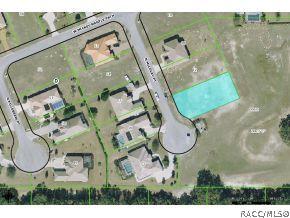 1529 N Mccovey Pt, Hernando, FL 34442 photo 1