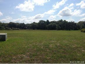 1529 N Mccovey Pt, Hernando, FL 34442 photo 4
