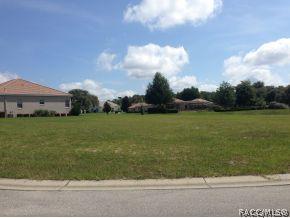 1529 N Mccovey Pt, Hernando, FL 34442 photo 2