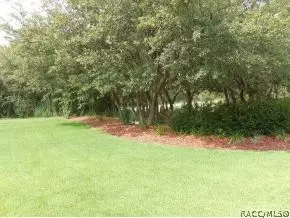 3846 N Eisenhower Ave, Hernando, FL 34442 photo 20