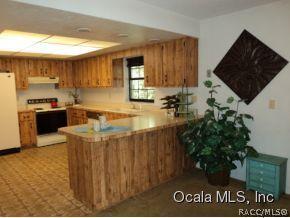 19785 SW 85 Lp, Dunnellon, FL 34432 photo 12