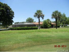 724 E Falconry Ct, Hernando, FL 34442 photo 3