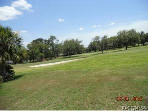 724 E Falconry Ct, Hernando, FL 34442 photo 5