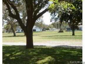 464 Epsom Ct, Hernando, FL 34442 photo 11