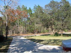1412 W Tacoma St, Hernando, FL 34442 photo 22