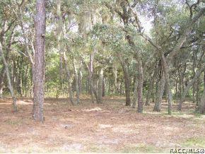 546 W Olympia St, Hernando, FL 34442 photo 24