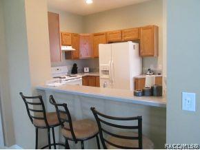 1620 W Spring Meadow Loop, Lecanto, FL 34461 photo 8