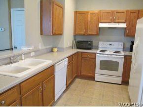 1620 W Spring Meadow Loop, Lecanto, FL 34461 photo 7