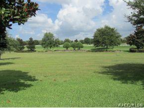 1620 W Spring Meadow Loop, Lecanto, FL 34461 photo 15
