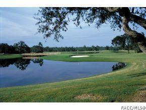 1614 W Spring Meadow Loop, Lecanto, FL 34461 photo 20