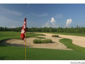 1614 W Spring Meadow Loop, Lecanto, FL 34461 photo 21