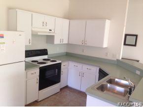795 W Toucan Loop, Hernando, FL 34442 photo 4