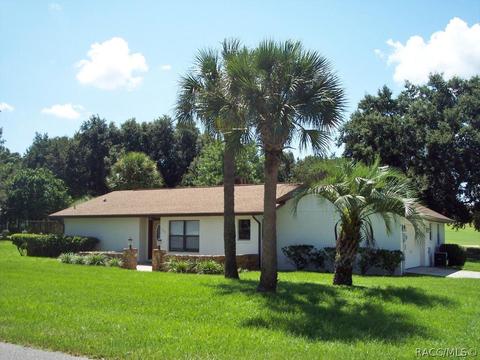 390 Eureka Ct, Hernando, FL 34442 photo 3