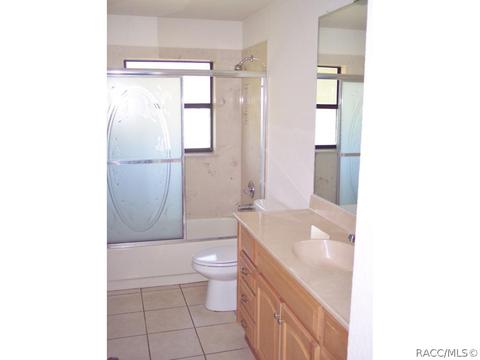 390 Eureka Ct, Hernando, FL 34442 photo 11