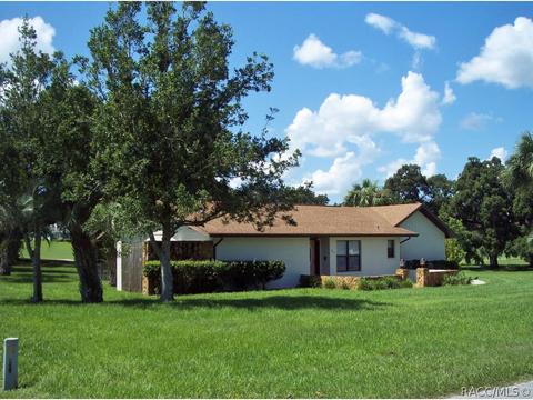 390 Eureka Ct, Hernando, FL 34442 photo 1