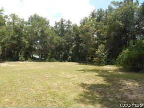 4147 N Elwyn Pt, Hernando, FL 34442 photo 3