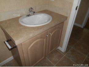 4147 N Elwyn Pt, Hernando, FL 34442 photo 19