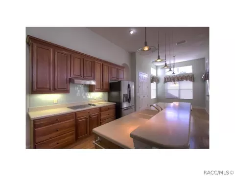 1411 W Double Eagle Ct, Hernando, FL 34442 photo 12