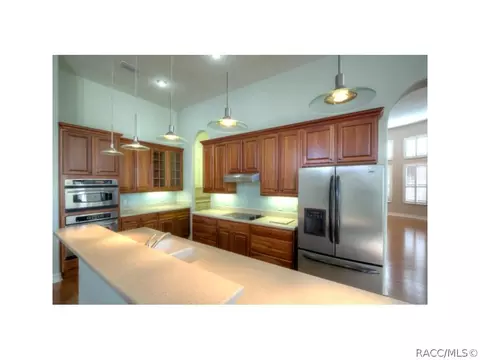 1411 W Double Eagle Ct, Hernando, FL 34442 photo 13