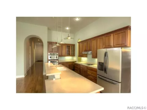 1411 W Double Eagle Ct, Hernando, FL 34442 photo 11