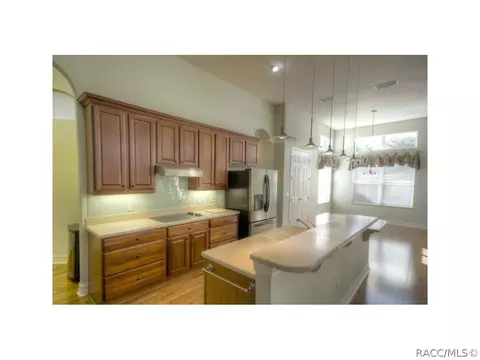 1411 W Double Eagle Ct, Hernando, FL 34442 photo 10