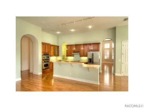 1411 W Double Eagle Ct, Hernando, FL 34442 photo 9