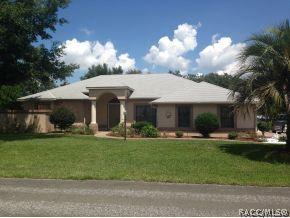 725 E Falconry Ct, Hernando, FL 34442 photo 1