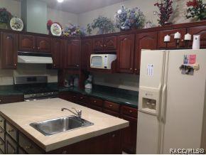 725 E Falconry Ct, Hernando, FL 34442 photo 6