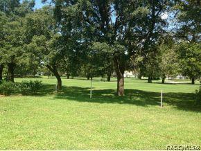 725 E Falconry Ct, Hernando, FL 34442 photo 17